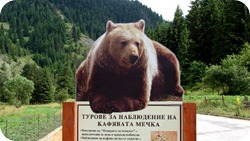 clip_image001