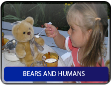 Bears and humans 