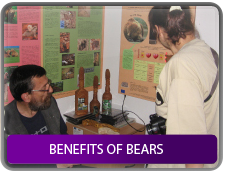 Benefits of bears 