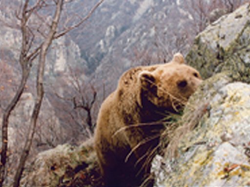 gallery_19