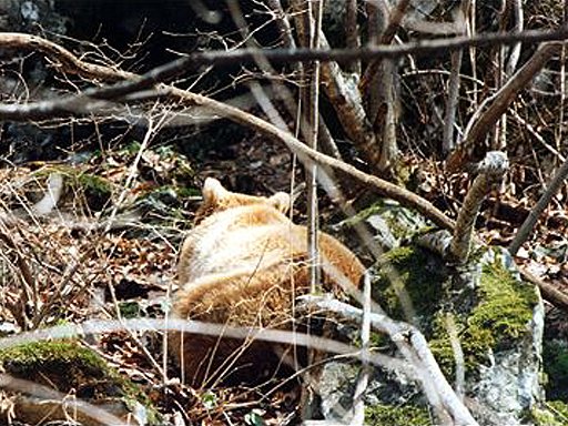 gallery_26