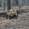 gallery_07