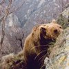 gallery_19
