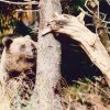 gallery_21
