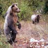 gallery_23