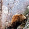 gallery_29