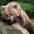 gallery_10