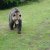 gallery_11