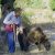 gallery_20