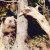 gallery_21