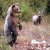 gallery_23