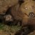 gallery_27