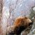 gallery_29