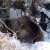 gallery_33