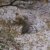 gallery_36
