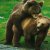 gallery_39