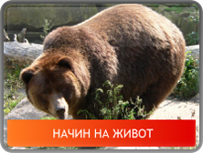 Начина на живот