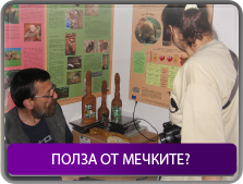 Полза от мечките
