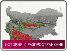 Разпространиение