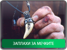 Заплахи